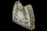 Petrified Wood (Mahogany) Bookends - Myanmar #158876-2